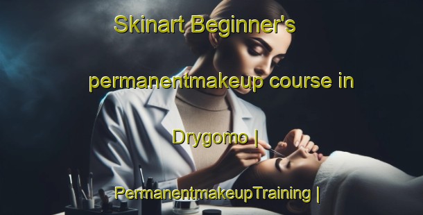 Skinart Beginner's permanentmakeup course in Drygomo | PermanentmakeupTraining | PermanentmakeupClasses | SkinartTraining-Russian Federation